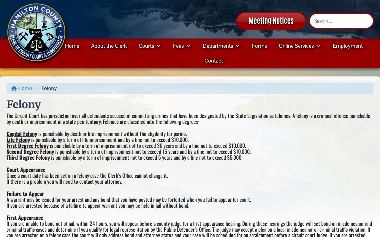 Hamilton Clerk felony case procedure page